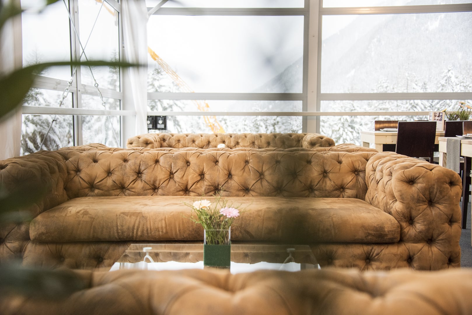 Immagini VIP Decorazione