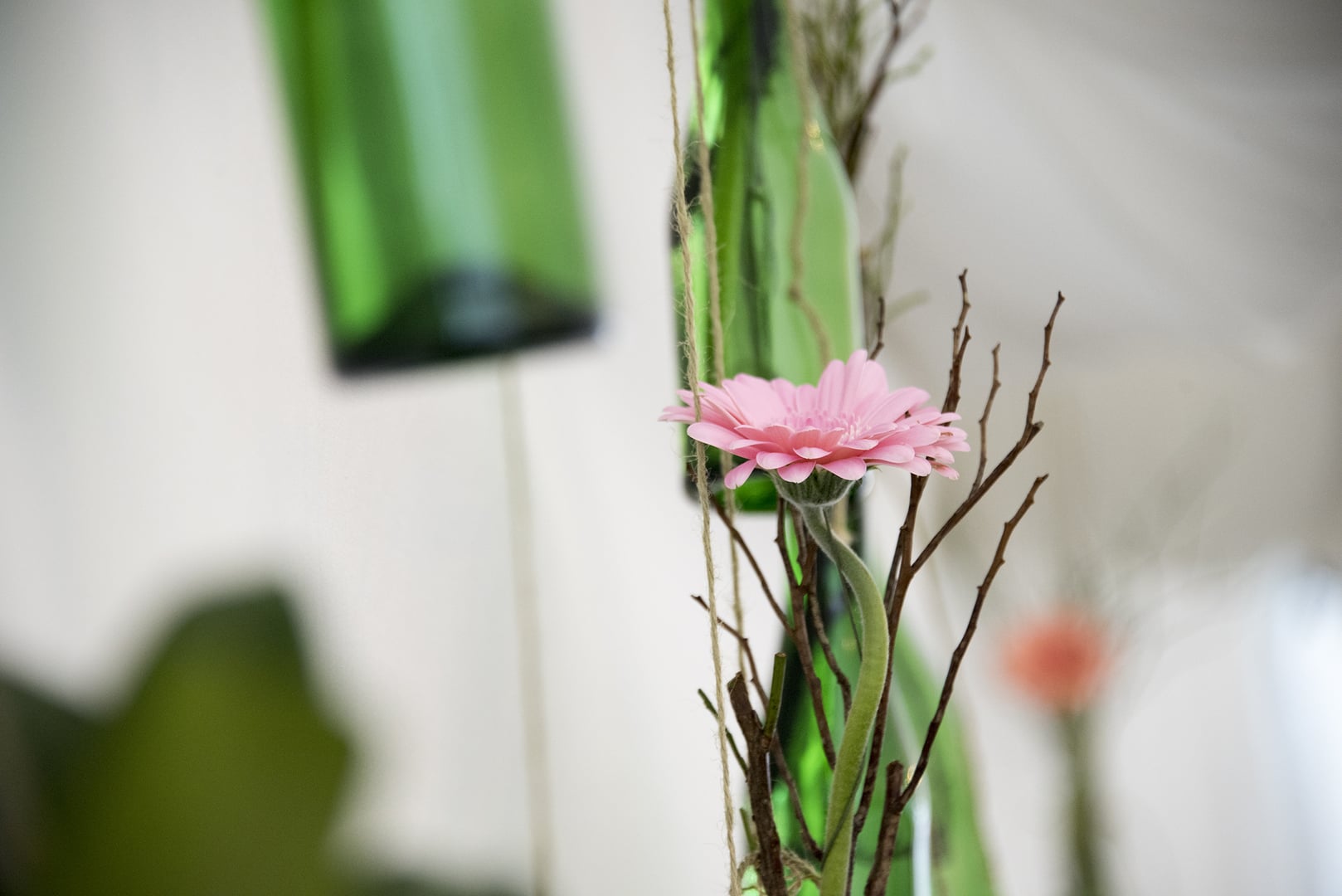 Images VIP Decoration