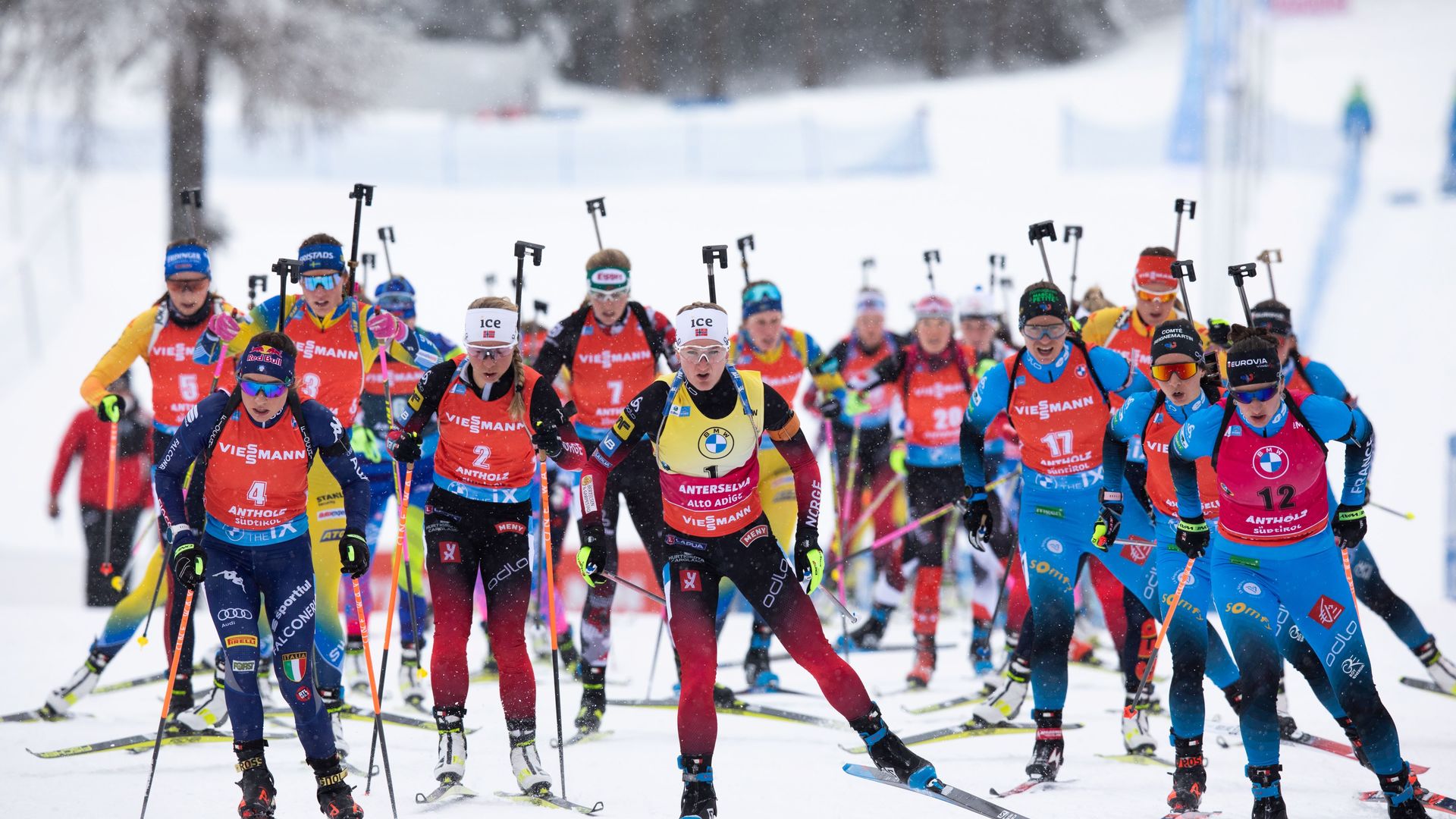 18.01.2021 - SONDAGGIO TRA I FAN DEL BIATHLON