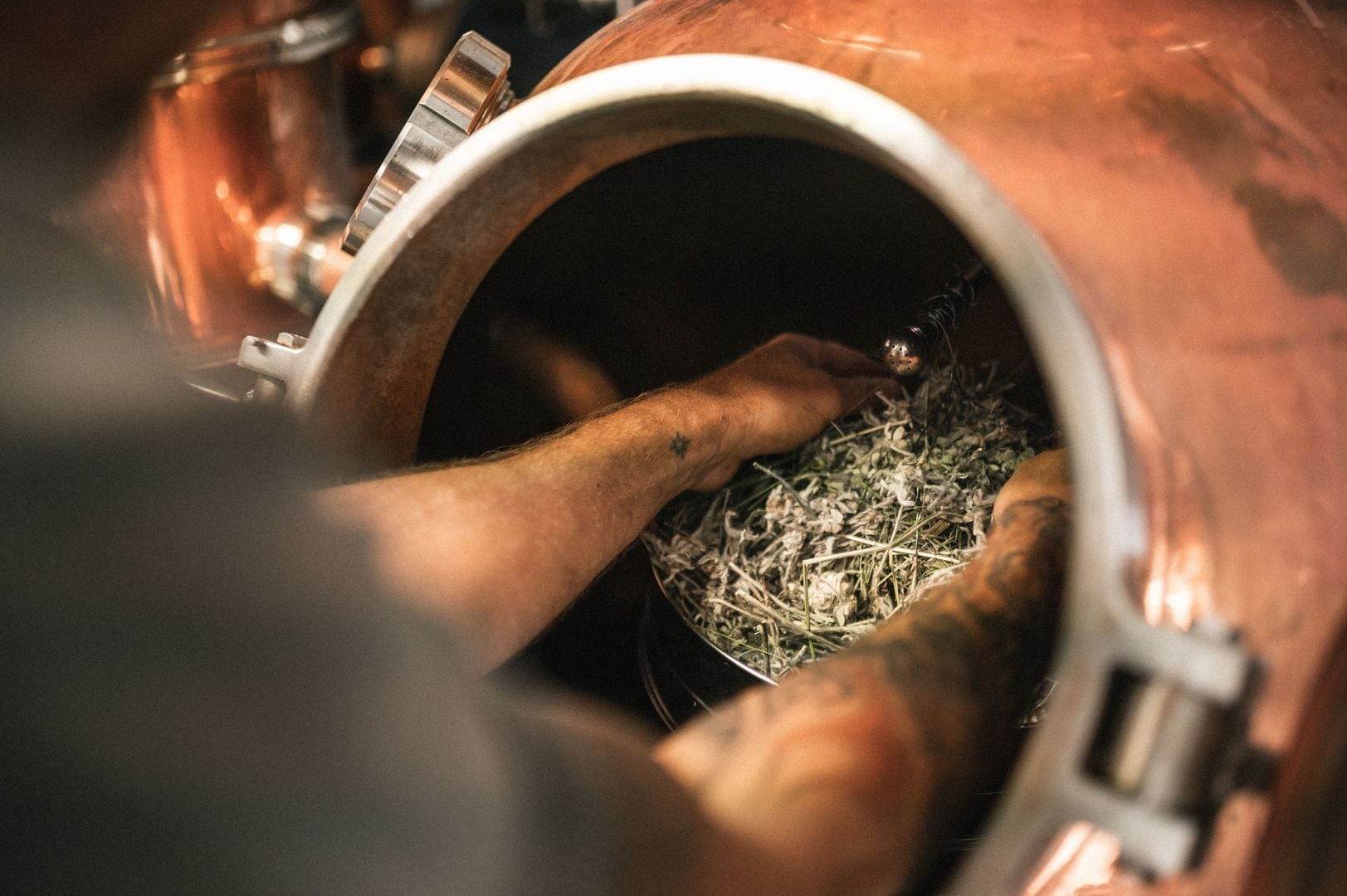 21.12.2023 - Edelschwarz Alpine Bio Spirits: Il nuovo partner